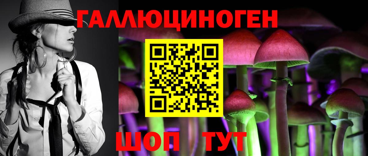 Киселёвск  Псилоцибиновые грибы Cubensis  Вход с VPN 